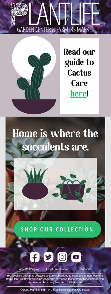 Freelance Designer Freelance Designer