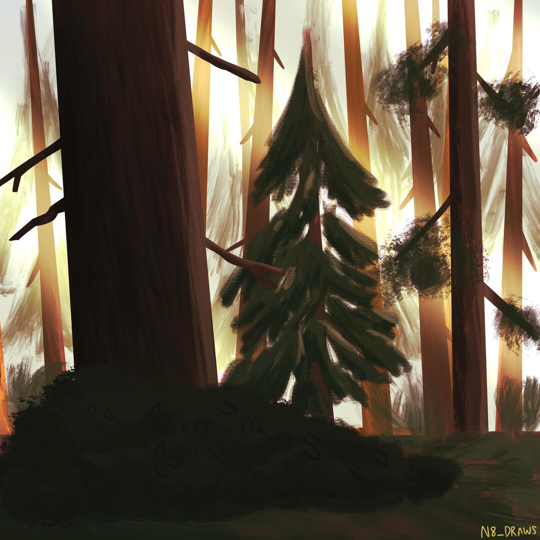 freelance illustrator nate raia freelance illustrator nate raia